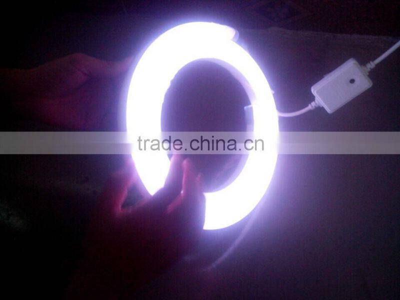 2015 Holiday Decorative 3528 led neon, neon light, led neon light