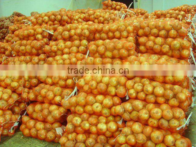 fresh yellow onion from gansu all size