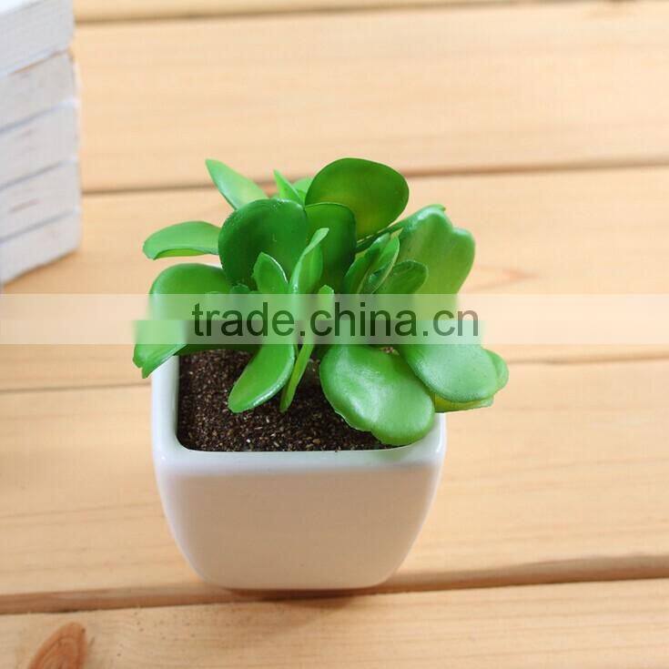 Lovely shaped plastic bonsai for decoration