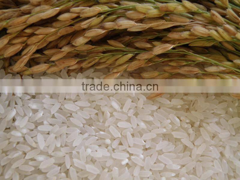 automatic rice mill machine/rice mill machine/rice mill machinery