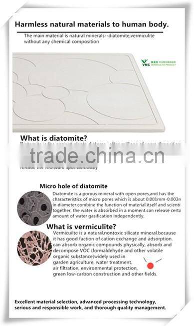 Super absorbent bath mat non slip and anti bacteria Diatomite bath mat
