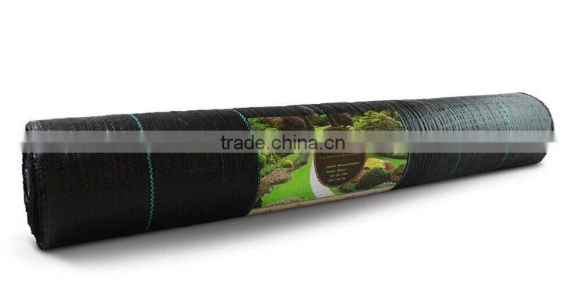 brand pp woven fabric ,pp woven geotextile fabric ,ground cover ,best quality and competitive price ,uv treated.