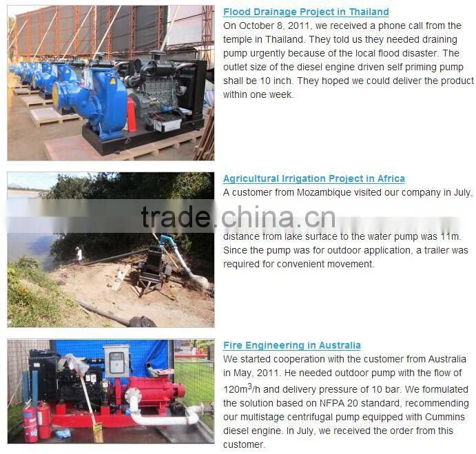 DEFU-Tpow double suction water pumps with diesel engine