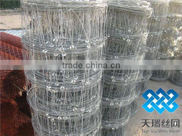 grassland sheep mesh wire fencing/cow fence/field fence factory direct supply