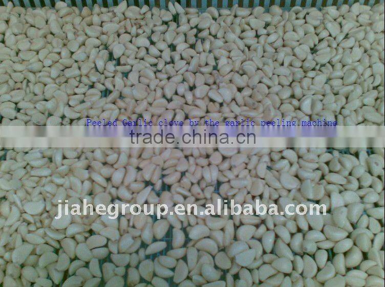 100% true factory supply 200- 300kg/hr garlic peeling machine