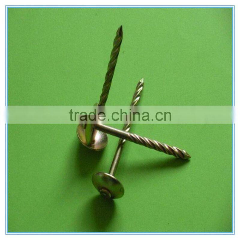 China bulk galvanized roofing nail with smooth shank or twisted shank