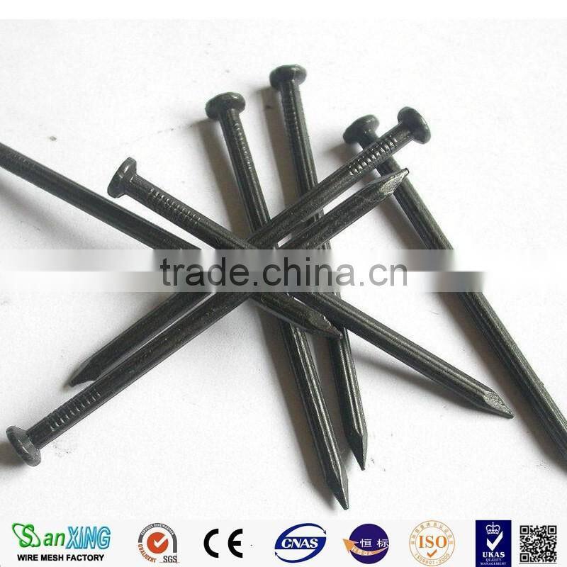 Flat Head Stainless Steel commom nail Screw nails