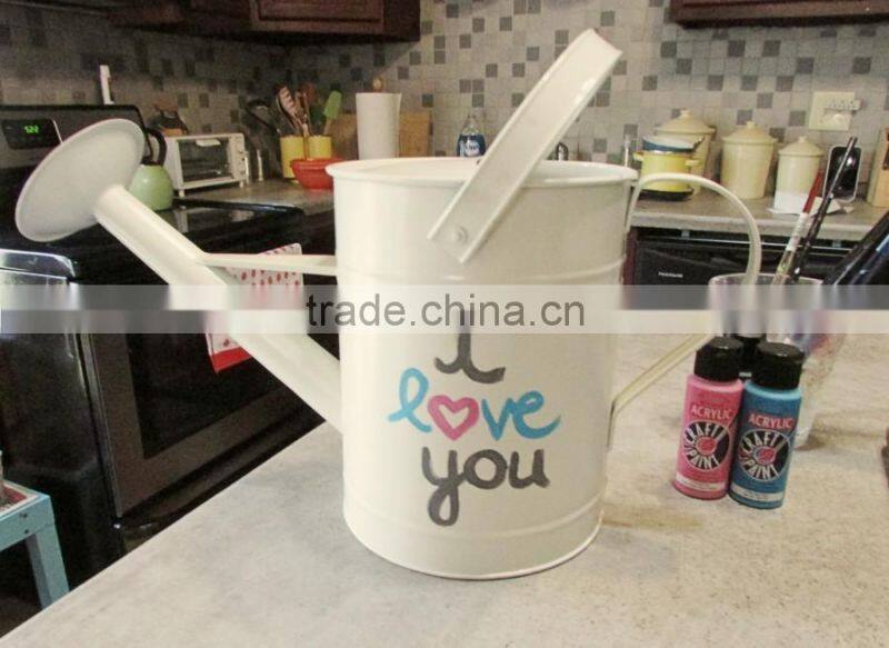 Eco-friendly Enamel water can/ garden deco Zinc Flower Planter Pot & Watering can