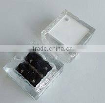 Solar Brick Paver Light for garden/ground