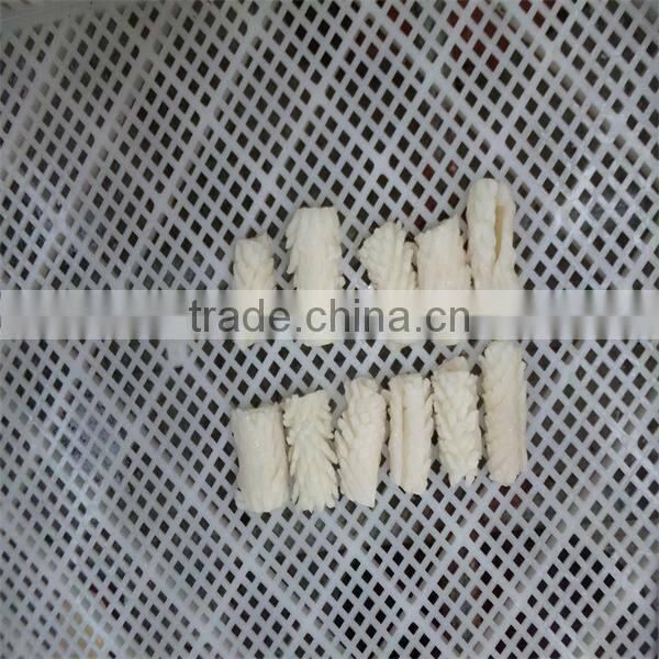 best season iqf cooking live squid for sale