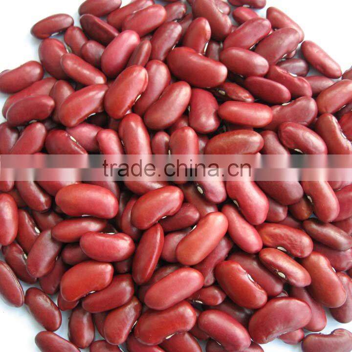 200-220 pcs/100g Chinese Dark Red Kidney Bean Prices