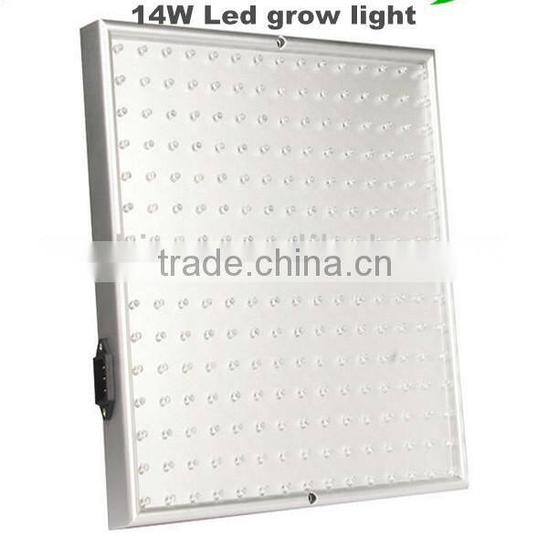 Decorative plants Led Grow light for Flower Boost and Seed Sprout Greenhouse Light