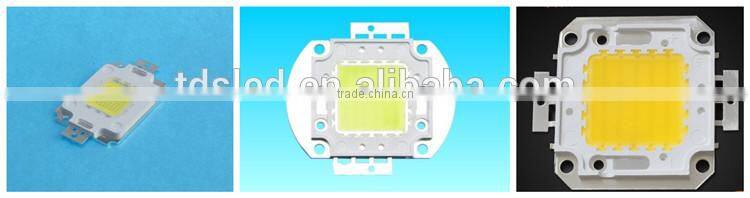 4500lm 7000 - 8000K cool White 30W High Power LED Light 12VDC For Jerry's Light