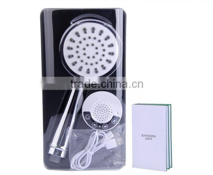 Bluetooth shower head