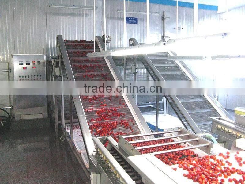 2015 NEW crops canned strawerry