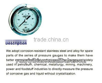 Stainless Steel air Pressure Gauge