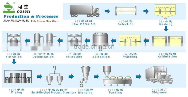 hydrolyzed gelatin,fish gelatin