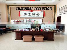 Famous branded Convertible women Fashion Top