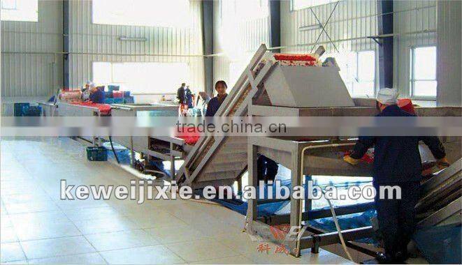 medlar fruit production line