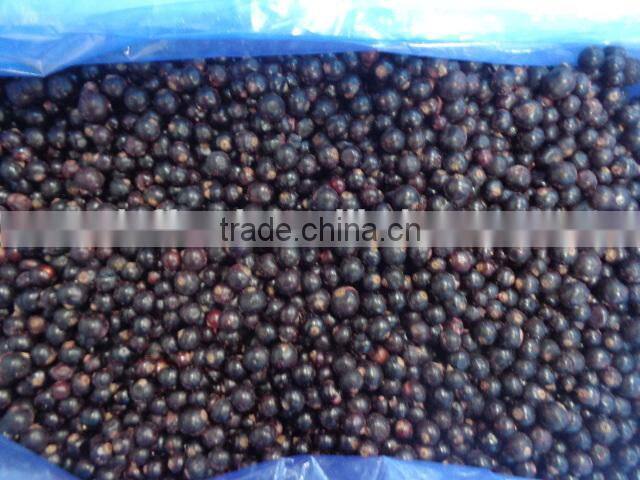 frozen IQF black currant and iqf frozen fruit