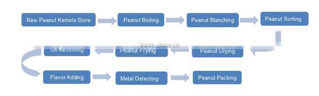 High Quality Professional New Design Automatic Peanut Frying Processing Line