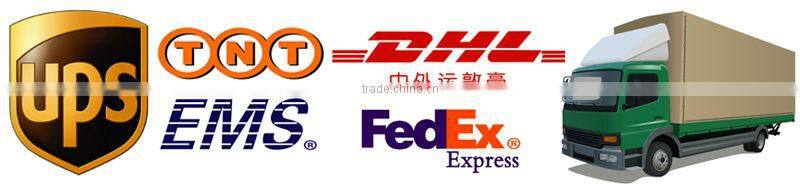 clear plastic lure box with hanger tab