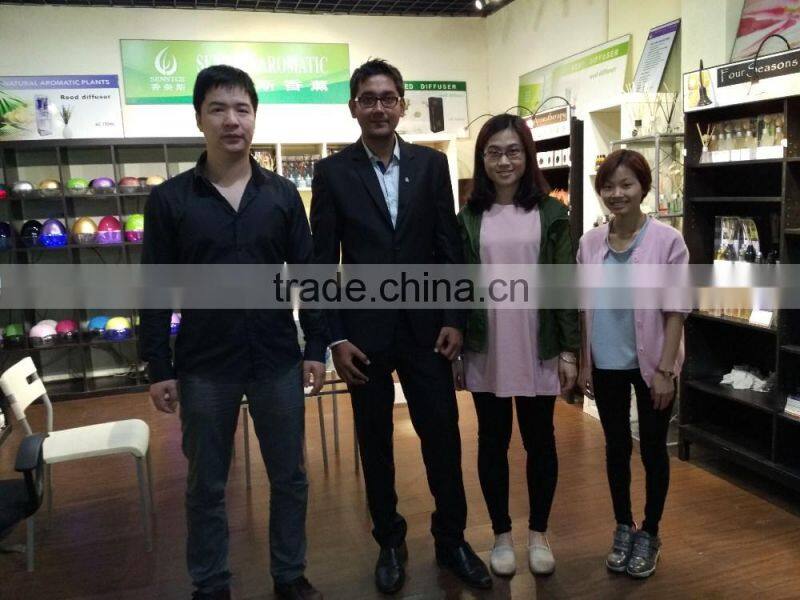 portable 6 colorful LED lights aromatherapy essential oil diffuser air purifier KS-04CL