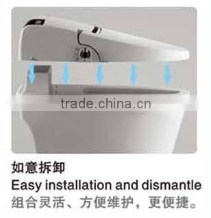 Export Ceramic Bathroom Intelligent Toilet
