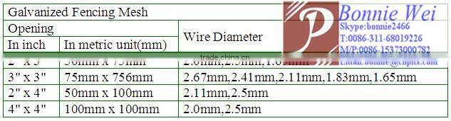 galvanized Chain link fence(factory & trader)