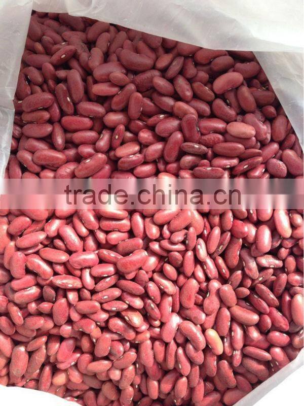 British red kidney bean,220-240pcs/100g,200-220PCS/100G