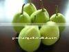 Sweet Chinese Ya Pear 2011 Corps
