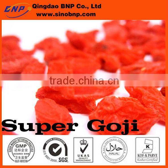 GMP 100% Natural & High Quality organic goji berries powder From China Sino BNP