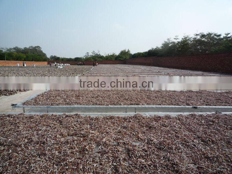 AD air dried white-black fungus mushroom