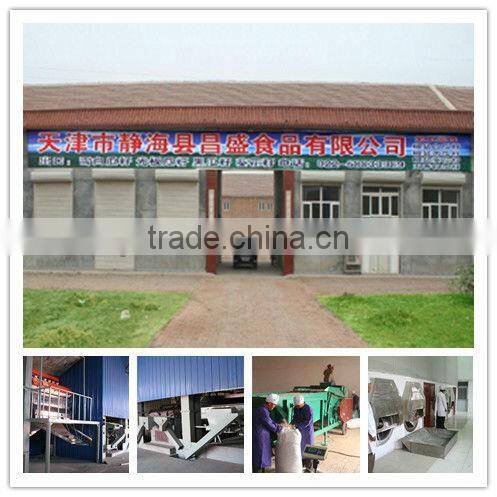 sunflower seeds 5009