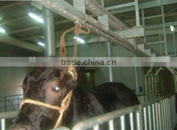 Halal Ritual slaughtering equipment equipping to cattle slaughter house