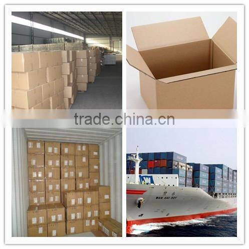 Plastic garden hand pressure trigger pump sprayer nozzle for PET bottle