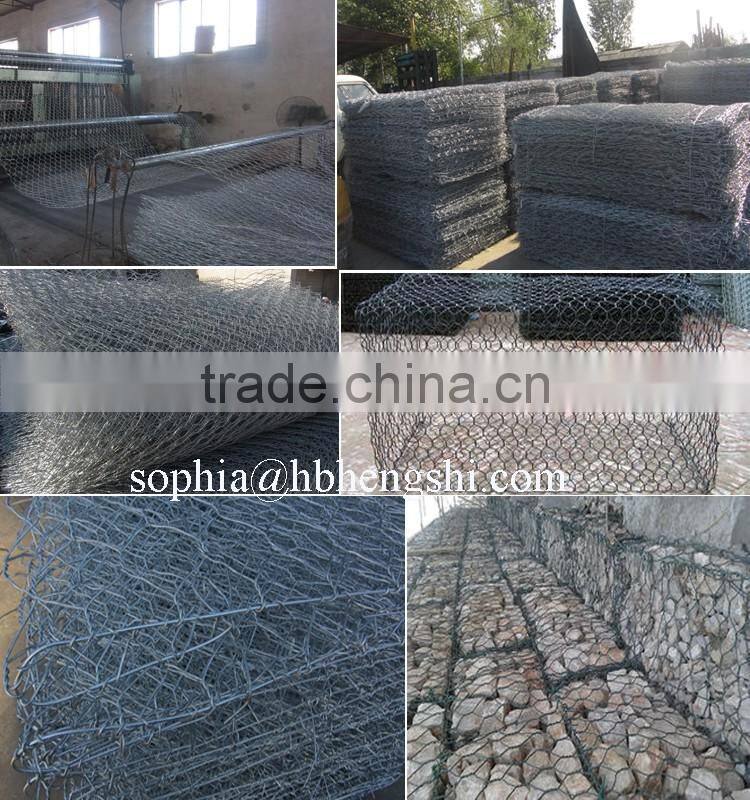 PVC coated Chicken Wire Mesh (Hexagonal Wire Netting)
