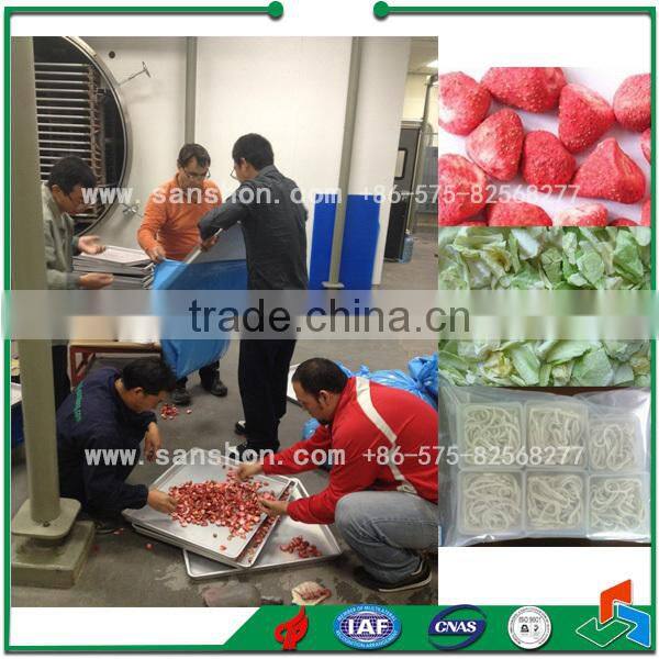 Advanced Sanshon Industrial Product Fruit and Vegetable Freeze Dryer for Freeze Dried Rose
