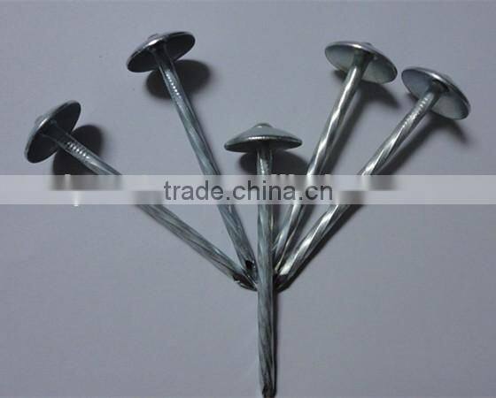 1.5"*14G Umbrella Head smooth plain Shank Roofing Nail china factory