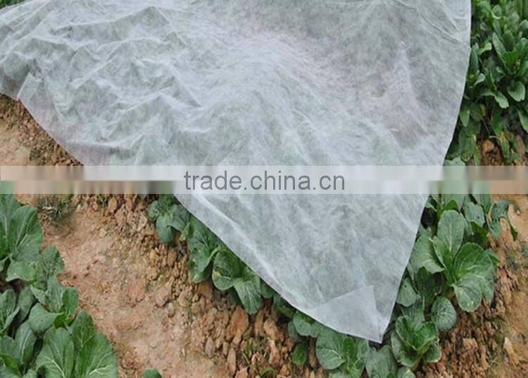 Hot Product Agricultural Tree Plants Non Woven Plant Cover