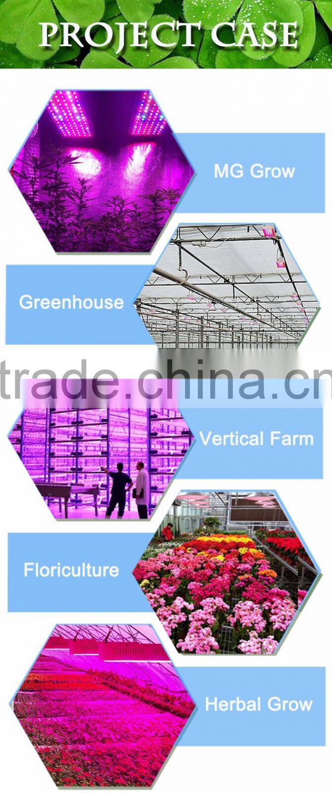 Best Selling Products Agricultural Greenhouse 300w LED Grow Panel Lamp