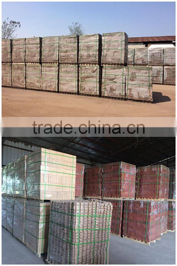 Wuxi refractory cement brick/grass tile, paving bricks for parkinglot/Shaped like a 8
