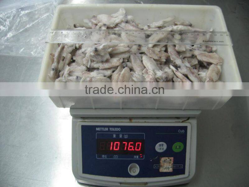 High quality IQF Baby squid