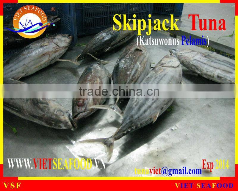 FROZEN W/R SKIPJACK TUNA