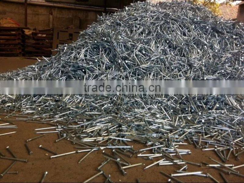 Iron Material Varnish Sprayed Farming Tools&Garden Tools Nail&Wire