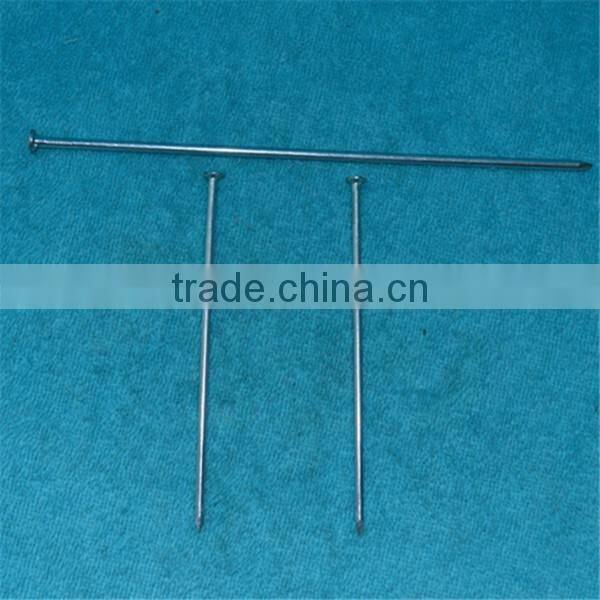 High Standard Galvanized Concrete Nail