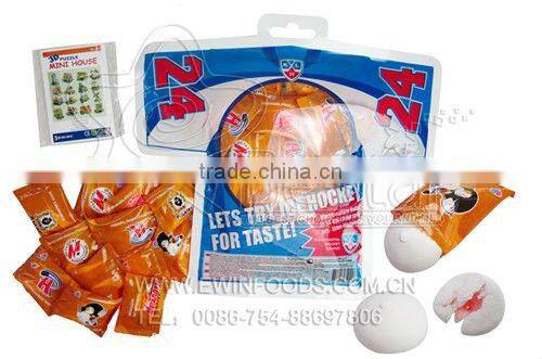 Marshmallow Balls of 24 KHL Clubs with 3D Puzzle of Mini House