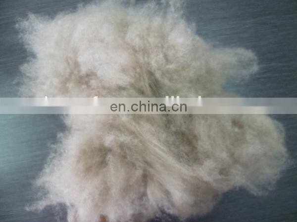 carded and dehaired cashmere fiber for India market