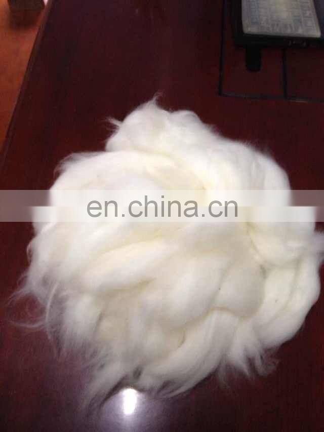 sheep wool open tops white for woolen spinning