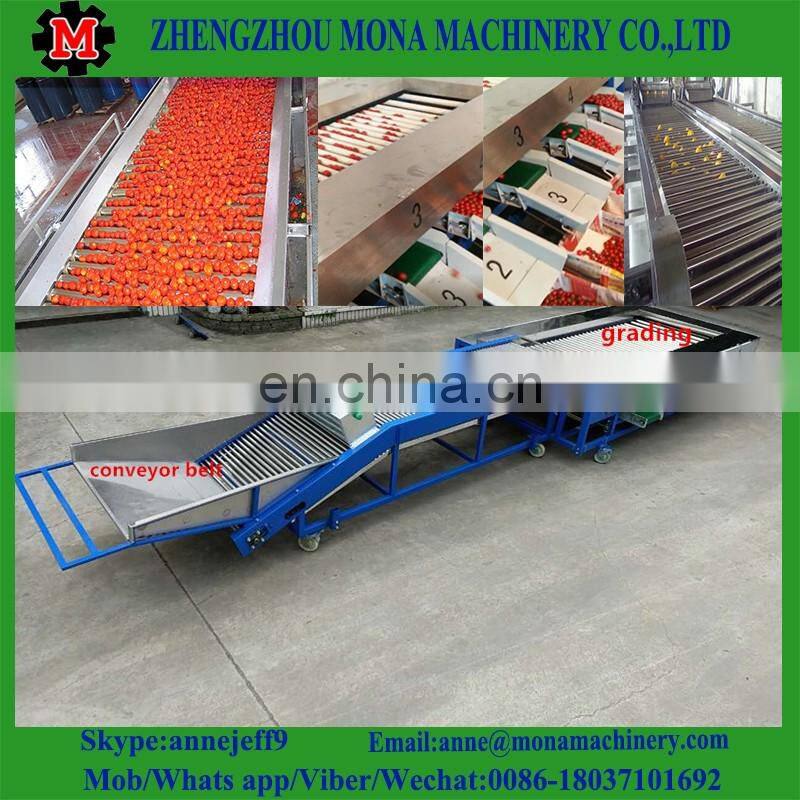 Navel orange and ponkan grading/ sorting machine. fruit washing and waxing machine